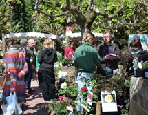 Marche aux plantes Mulhouse