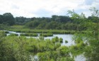 photo camargue alsacienne