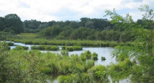 photo camargue alsacienne