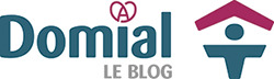 Logo blog Domial