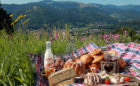 Pique-nique en Alsace avec vue sur montagne
