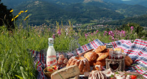 Pique-nique en Alsace avec vue sur montagne
